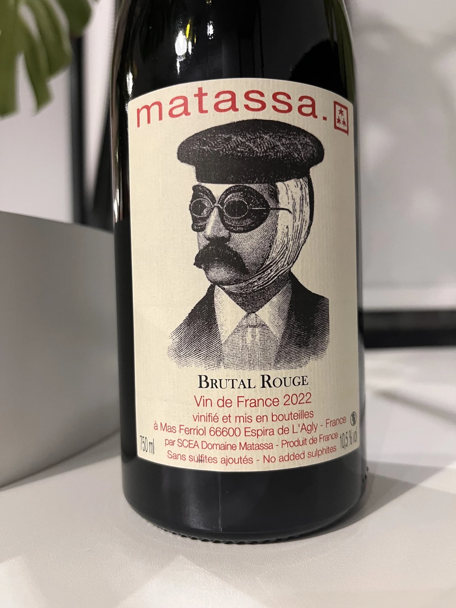 Matassa Brutal Rouge 2022